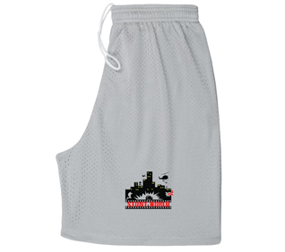 Stunt World Grey Youth Shorts